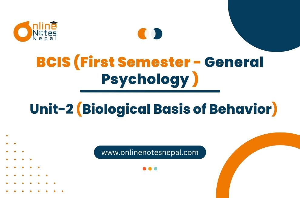 Unit II: Biological Basis of Behavior